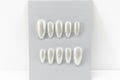 Customizable Handmade Chrome and French tip design Press-on Nail set Lvl-2